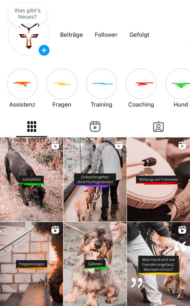 WAYAS Assistenzhundetraining Social Media Content Creation